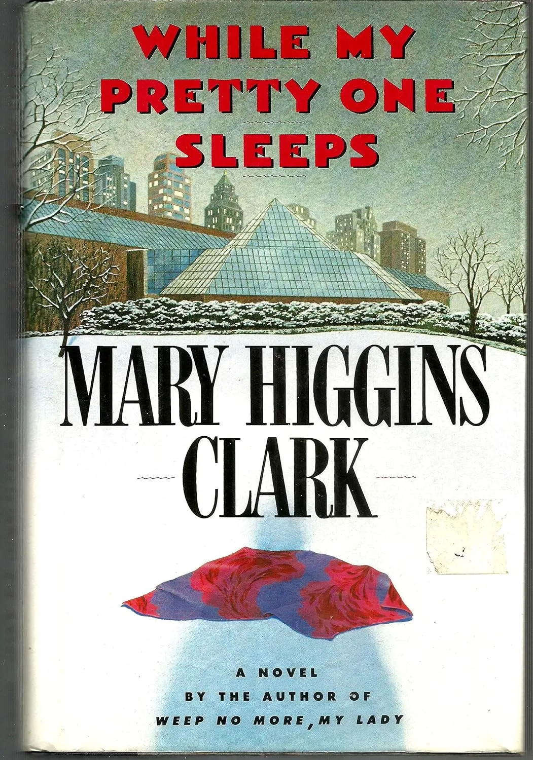 WHILE MY PRETTY ONE SLEEPS Hardcover  May 15, 1989